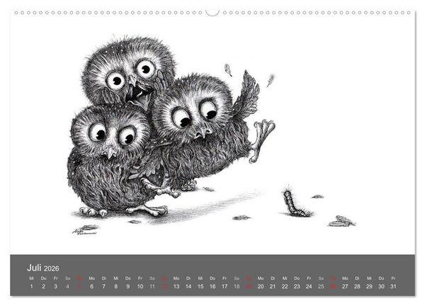 Produktbild: owls & friends 2026 (hochwertiger Premium Wandkalender 2026 DIN A2 quer), Kunstdruck in Hochglanz
