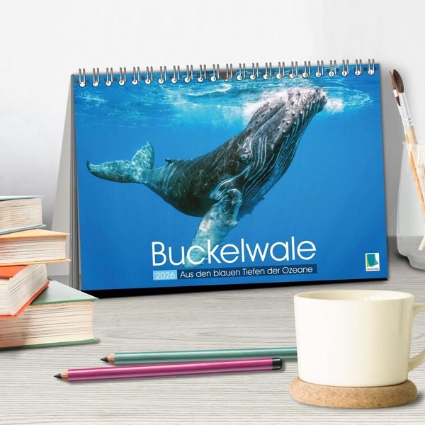 Produktbild: Buckelwale: Aus den blauen Tiefen der Ozeane (Tischkalender 2026 DIN A5 quer), CALVENDO Monatskalender