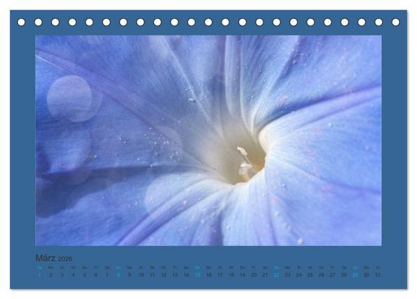 Produktbild: 12 Farben (Tischkalender 2026 DIN A5 quer), CALVENDO Monatskalender