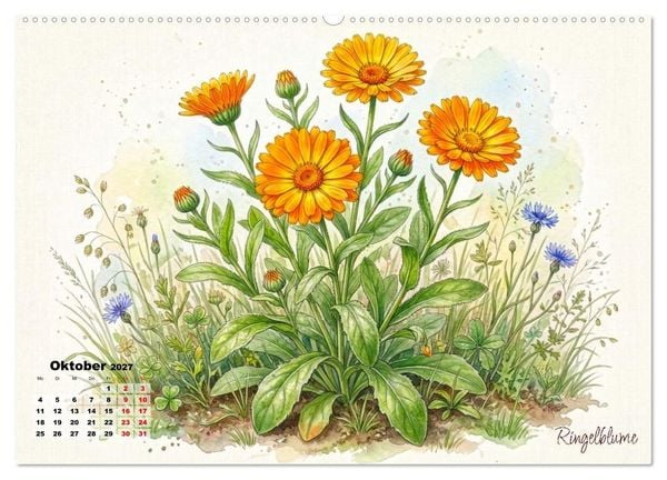 Produktbild: Wilde Kostbarkeiten &ndash; Essbar, gesund & wundersch&ouml;n (hochwertiger Premium Wandkalender 2027 DIN A2 quer), Kunstdruck in Hochglanz