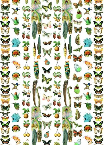 Produktbild: Natural History