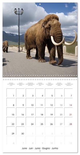 Produktbild: New Animal Kingdom (Wall Calendar 2026 12 &times; 12 Inch) CALVENDO 12 Month Wall Calendar