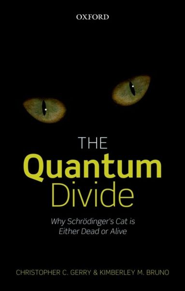 Produktbild: Quantum Divide