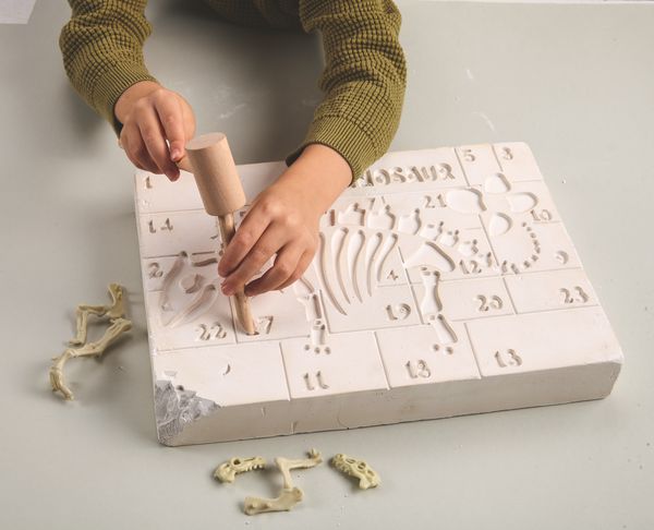 Produktbild: Dinosaurier - Der Ausgrabungs-Adventskalender. 24 coole &Uuml;berraschungen zum Ausgraben und Entdecken