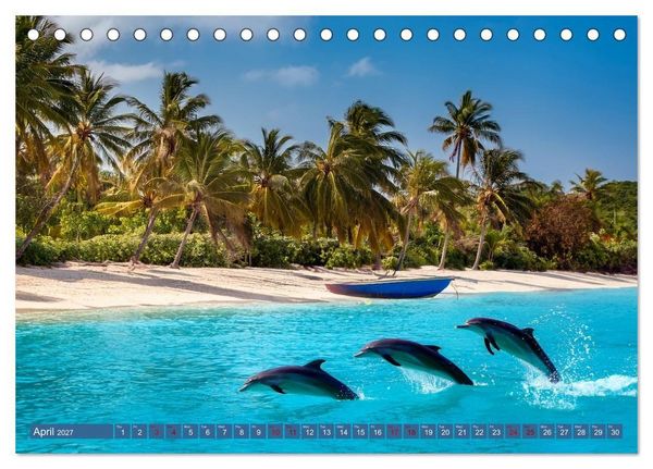 Produktbild: When Dolphins Dance with Us (Desk Calendar 2027 DIN A5 landscape), CALVENDO 12 Month DeskCalendar