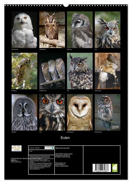 Produktbild: Eulen (hochwertiger Premium Wandkalender 2026 DIN A2 hoch), Kunstdruck in Hochglanz