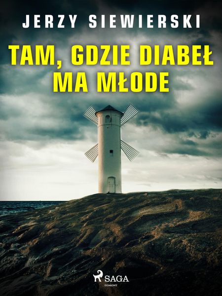 Produktbild: Tam, gdzie diabe&iquest; ma m&iquest;ode