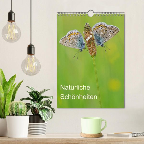 Produktbild: Insekten,Sch&ouml;nheiten der Natur (Wandkalender 2026 DIN A4 hoch), CALVENDO Monatskalender