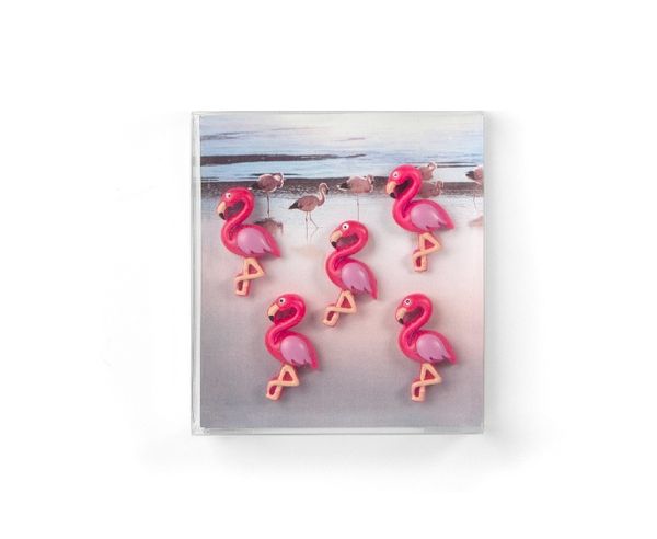 Produktbild: Magnete FLAMINGO 5er Set pink