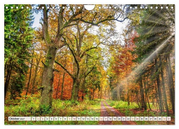 Produktbild: Naturpark Reinhardswald - Wo die Sababurg auf die Weser trifft (Wandkalender 2027 DIN A4 quer), CALVENDO Monatskalender