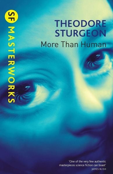 Produktbild: More Than Human