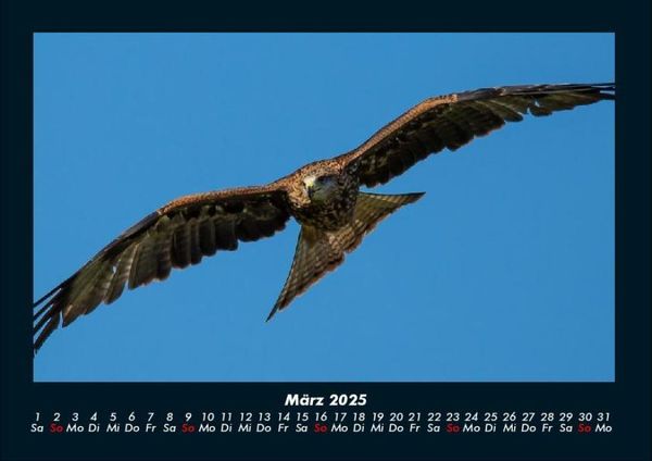 Produktbild: Adler 2025 Fotokalender DIN A4