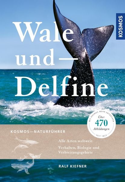Produktbild: Wale und Delfine