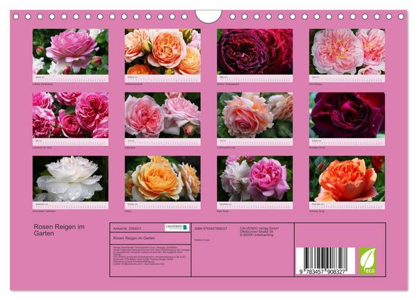 Produktbild: Rosen Reigen im Garten (Wandkalender 2026 DIN A4 quer), CALVENDO Monatskalender