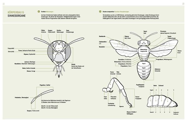 Produktbild: WILDBIENENHELFER