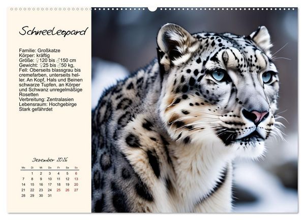 Produktbild: Zw&ouml;lf Raubkatzen im Portrait (hochwertiger Premium Wandkalender 2026 DIN A2 quer), Kunstdruck in Hochglanz