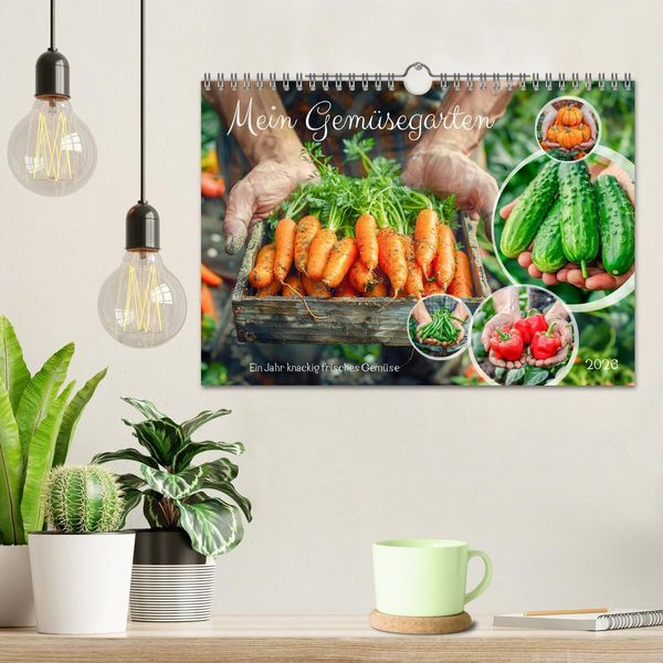 Produktbild: Mein Gem&uuml;segarten - Ein Jahr knackig frisches Gem&uuml;se (Wandkalender 2026 DIN A4 quer), CALVENDO Monatskalender