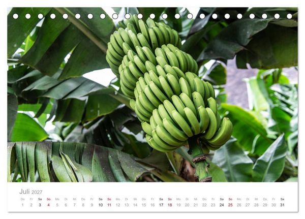 Produktbild: La Gomera &ndash; Die gr&uuml;ne Perle der Kanaren. (Tischkalender 2027 DIN A5 quer), CALVENDO Monatskalender