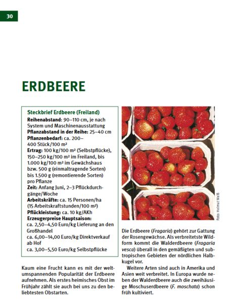 Produktbild: Beerenobst