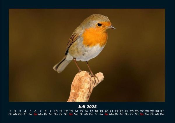Produktbild: Vogelparadies 2025 Fotokalender DIN A4