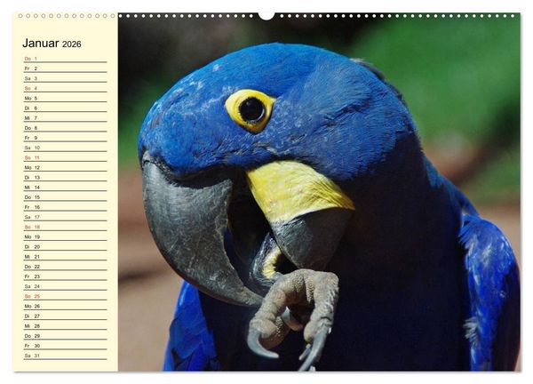 Produktbild: Brasilien. Faszinierend und gro&szlig; wie ein Kontinent (hochwertiger Premium Wandkalender 2026 DIN A2 quer), Kunstdruck in Hochglanz
