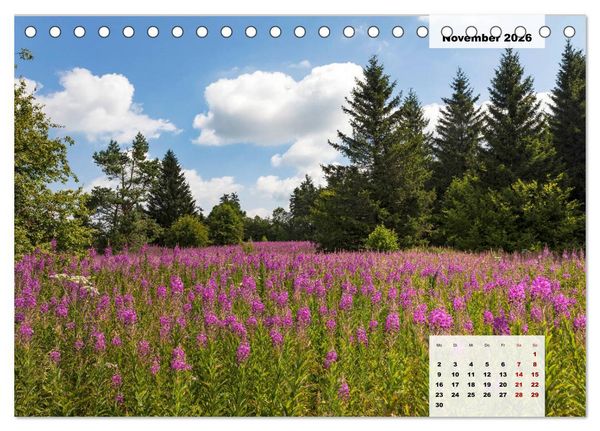 Produktbild: Rh&ouml;ner R&ouml;schen - ein Sommerm&auml;rchen in der Hochrh&ouml;n (Tischkalender 2026 DIN A5 quer), CALVENDO Monatskalender
