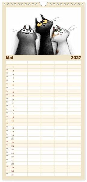 Produktbild: Familienplaner 2027 - Gute Laune Katzen mit 5 Spalten (Wandkalender, 21 x 45 cm) CALVENDO