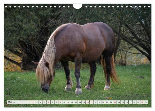 Produktbild: Heimatmomente - L&auml;ndliche Impressionen (Wandkalender 2027 DIN A4 quer), CALVENDO Monatskalender