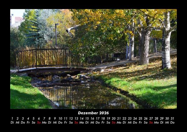 Produktbild: B&auml;ume 2026 Fotokalender DIN A3