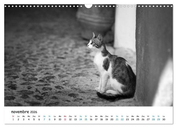 Produktbild: Chats de Santorin - Les princes d'Oia en noir et blanc (Calendrier mural 2026 DIN A3 vertical), CALVENDO calendrier mensuel
