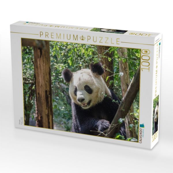 Produktbild: CALVENDO Puzzle Chengdu | 1000 Teile Lege-Gr&ouml;&szlig;e 64x48cm Foto-Puzzle f&uuml;r gl&uuml;ckliche Stunden