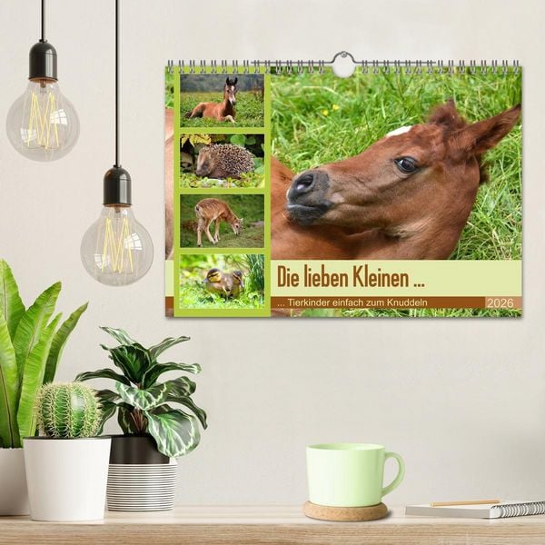 Produktbild: Die lieben Kleinen ... Tierkinder einfach zum Knuddeln (Wandkalender 2026 DIN A4 quer), CALVENDO Monatskalender