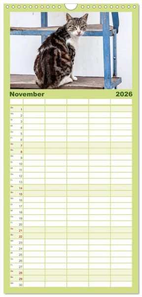 Produktbild: Familienplaner 2026 - Griechische Katzen mit 5 Spalten (Wandkalender, 21 x 45 cm) CALVENDO