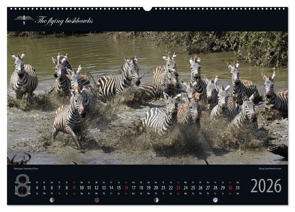 Produktbild: Tansania Blickwinkel 2026 (Wandkalender 2026 DIN A2 quer), CALVENDO Monatskalender
