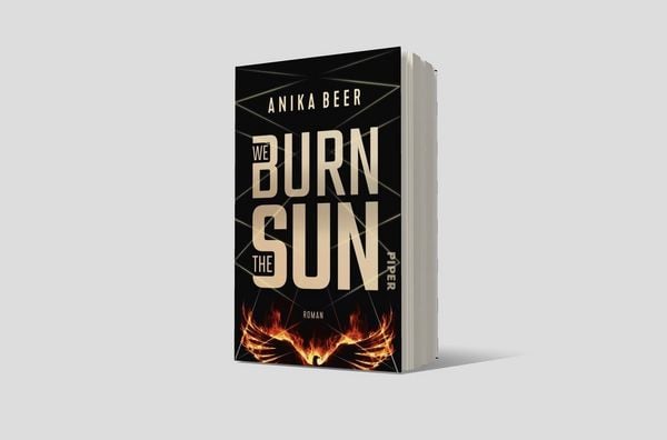 Produktbild: We Burn the Sun