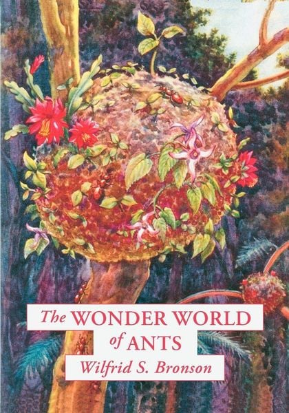 Produktbild: The Wonder World of Ants