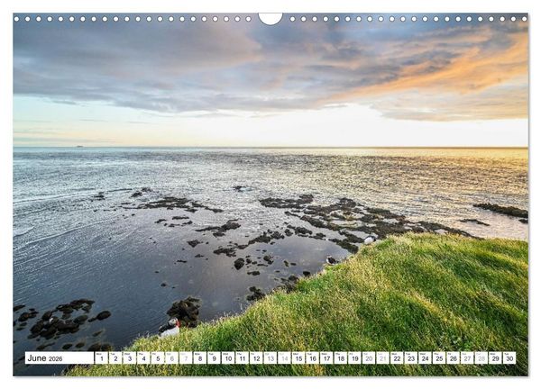 Produktbild: Puffins in Iceland (Wall Calendar 2026 DIN A3 landscape), CALVENDO 12 Month Wall Calendar