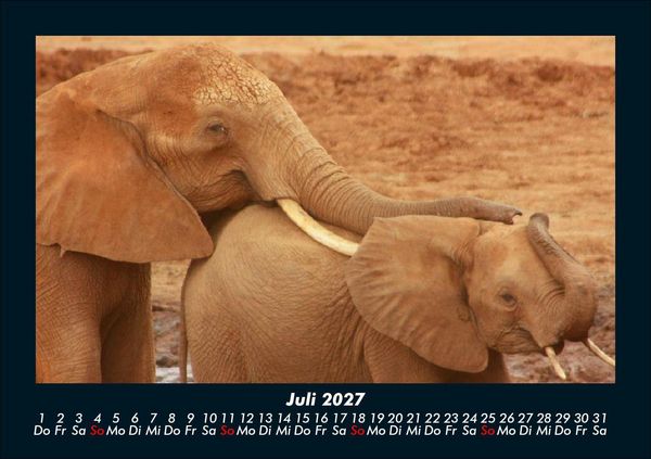 Produktbild: Tierkalender 2027 Fotokalender DIN A5