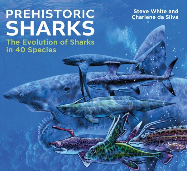 Produktbild: Prehistoric Sharks