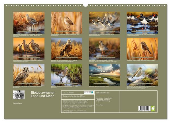 Produktbild: Biotop zwischen Land und Meer (Wandkalender 2026 DIN A2 quer), CALVENDO Monatskalender