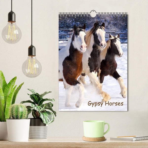 Produktbild: Gypsy's (Wandkalender 2026 DIN A4 hoch), CALVENDO Monatskalender