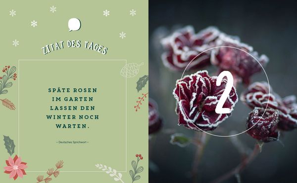 Produktbild: Mein Adventskalender-Buch: Gartenliebe