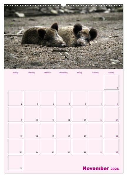 Produktbild: Schweinischer Terminplaner (Wandkalender 2026 DIN A2 hoch), CALVENDO Monatskalender