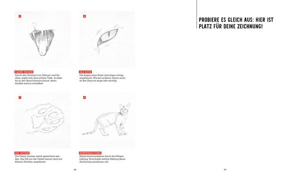 Produktbild: Genial zeichnen &ndash; Tiere