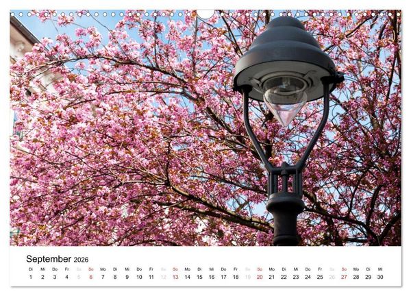 Produktbild: Bonn - Kirschbl&uuml;tenfest in der Altstadt (Wandkalender 2026 DIN A3 quer), CALVENDO Monatskalender