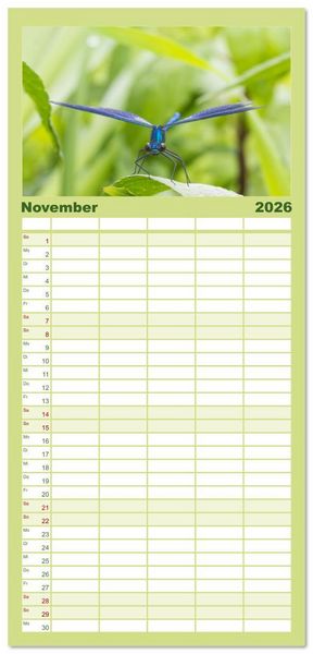 Produktbild: Familienplaner 2026 - Naturwunder Libellen mit 5 Spalten (Wandkalender, 21 x 45 cm) CALVENDO
