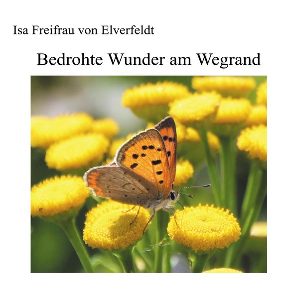 Produktbild: Bedrohte Wunder am Wegrand
