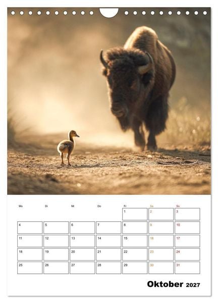 Produktbild: Ein Herz und eine Schnauze - Ein tierisch buntes Miteinander (Wandkalender 2027 DIN A4 hoch), CALVENDO Monatskalender