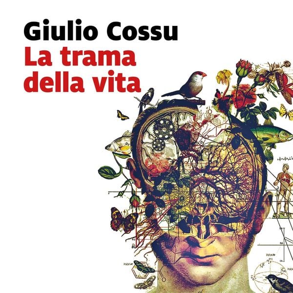Produktbild: La trama della vita