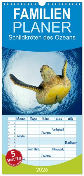 Familienplaner 2026 - Schildkröten des Ozeans mit 5 Spalten (Wandkalender, 21 x 45 cm) CALVENDO